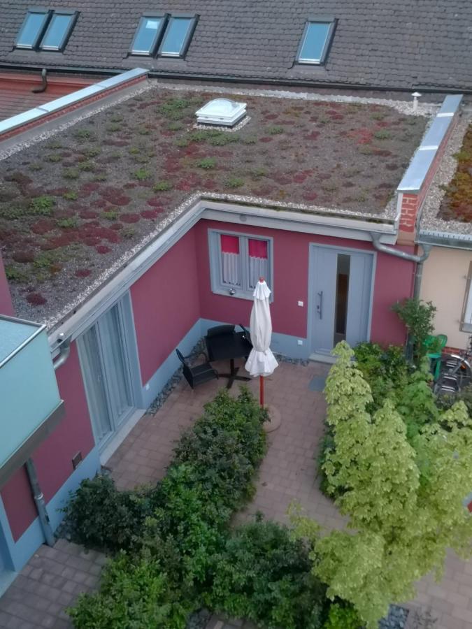 Kleines Feines Ferienhaus Im Herzen Von Dresden Apartman Kültér fotó